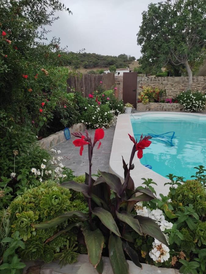 Holiday home Vivienda Rural Sierra De Cadiz, Cabeza Del Rey Prado Del Rey